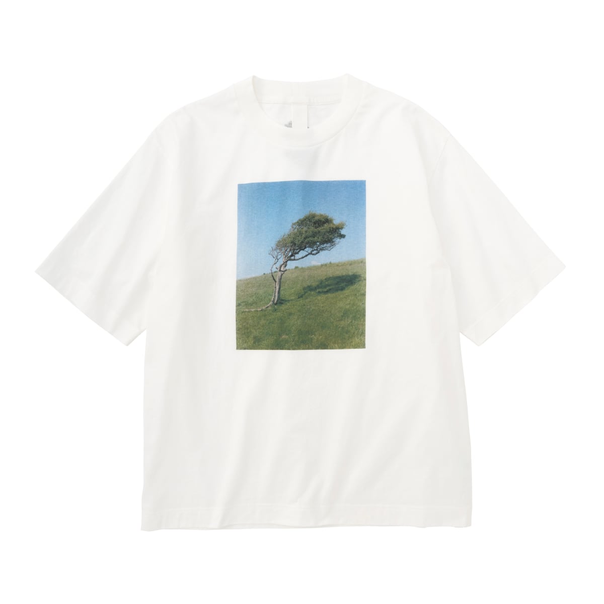 MHL. FOR FRF TREE PRINT T SHIRT
