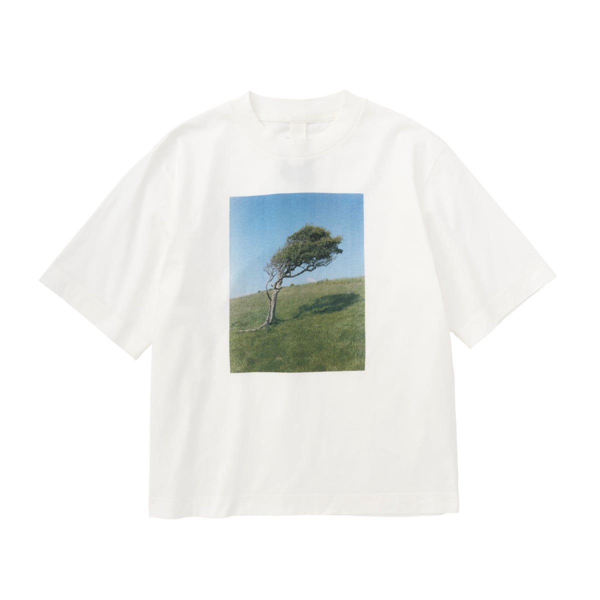 フジロックフェスティバル '25会場販売グッズ一覧 | FUJI ROCK