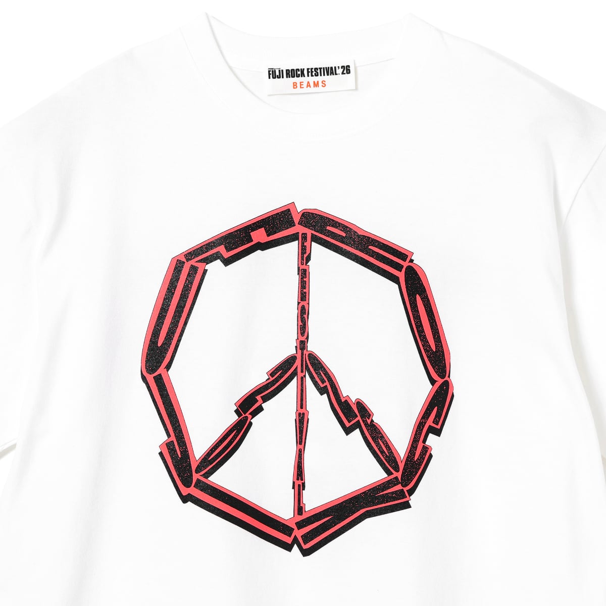 P2A6E TEE